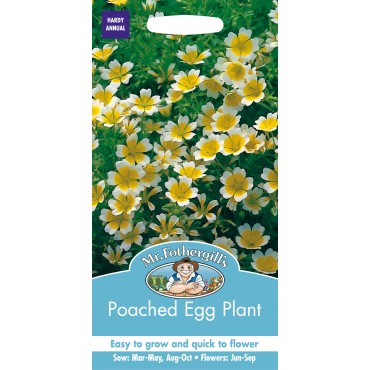 Poached Egg Plant